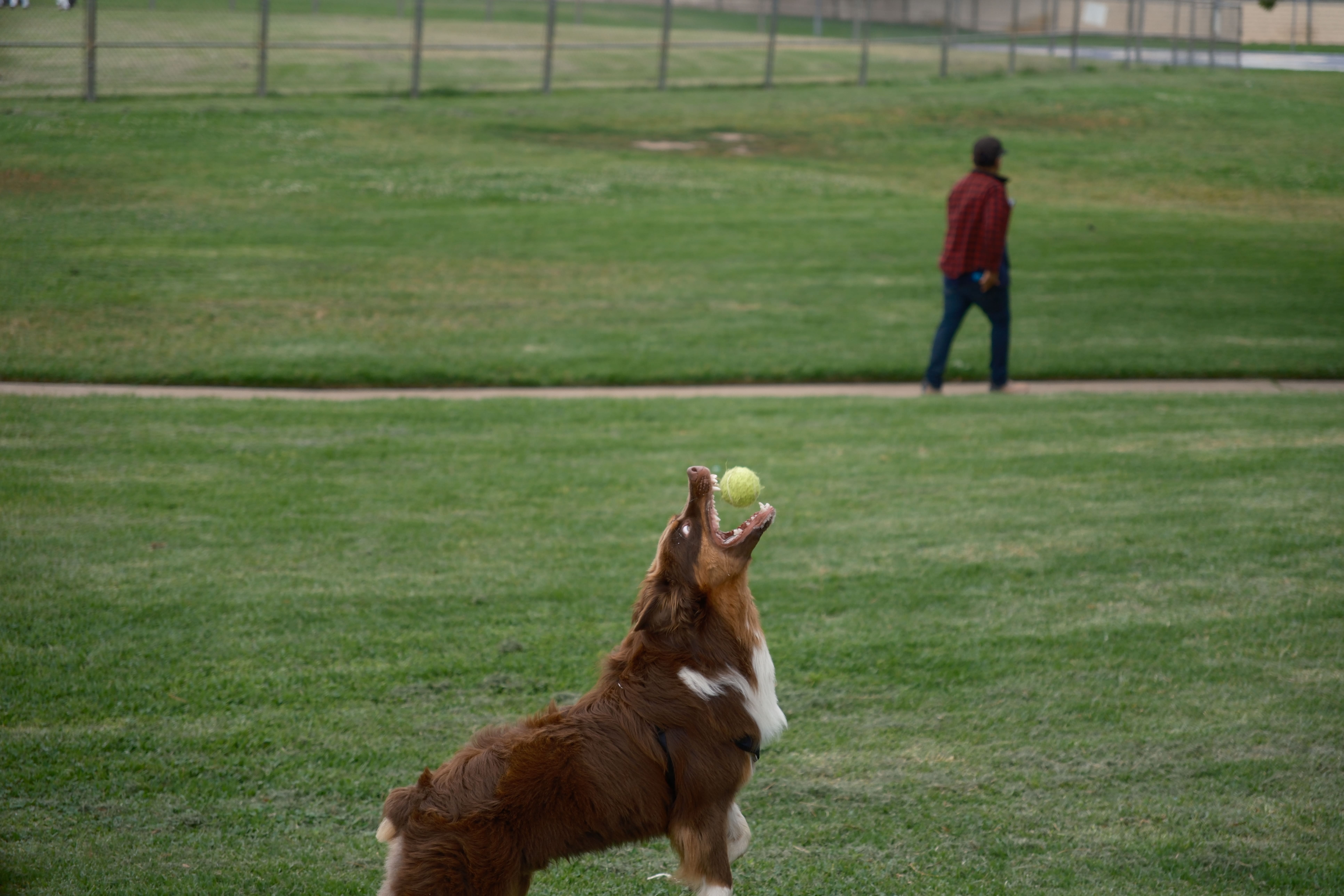 Shutter Speed Test